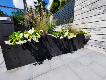 ogrodzenia producent gladio