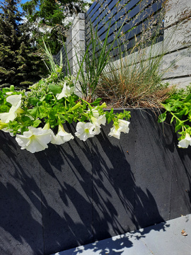 daszki ogrodzeniowe producent gladio