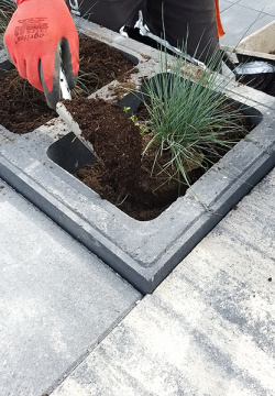 bloczki ogrodzeniowe gladio